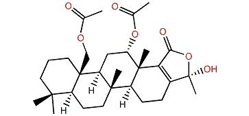 Lendenfeldarane N